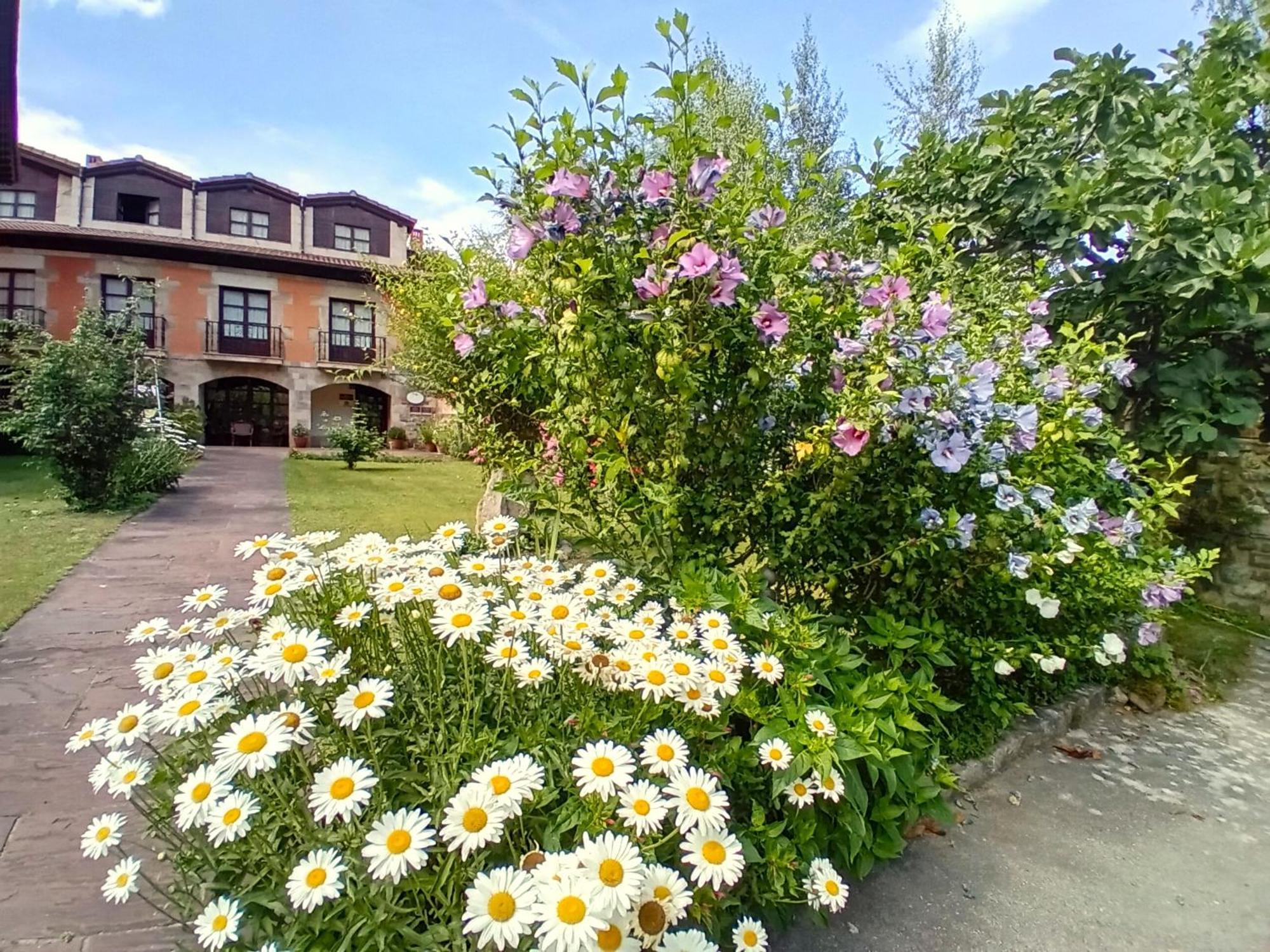 Picos De Europa Suites And Rooms Turieno Exterior photo